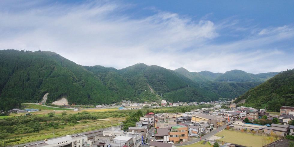 ローカル線がゆっくり走り、白鳥が飛来するのどかな里山の風景